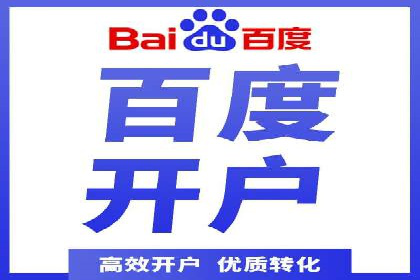 百度SEO推广公司案例分析：成功案例解析